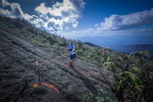 BIB: 
                            <button type="button" onclick="openModal(15955392)" class="btn btn-primary btn-sm float-right btn-popup" data-toggle="modal" data-target=".modal-high-quality">
                        <i class="fas fa-shopping-cart"></i> Add to Cart
                    </button>
                                            <button type="button" onclick="isThisMe(15955392, true)" class="btn btn-success btn-sm float-right btn-popup btn-isme hidden" data-toggle="tooltip" data-placement="bottom" title="นี่คือรูปของคุณใช่ไหม คลิกที่นี่เพื่อเอาเข้าอัลบั้ม">
                        <i class="fas fa-plus"></i> Add to album
                    </button>
                    <button type="button" onclick="isThisMe(15955392, false)" class="btn btn-warning btn-sm float-right btn-popup btn-isnotme hidden">
                        <i class="fas fa-ban"></i> Remove from album
                    </button>